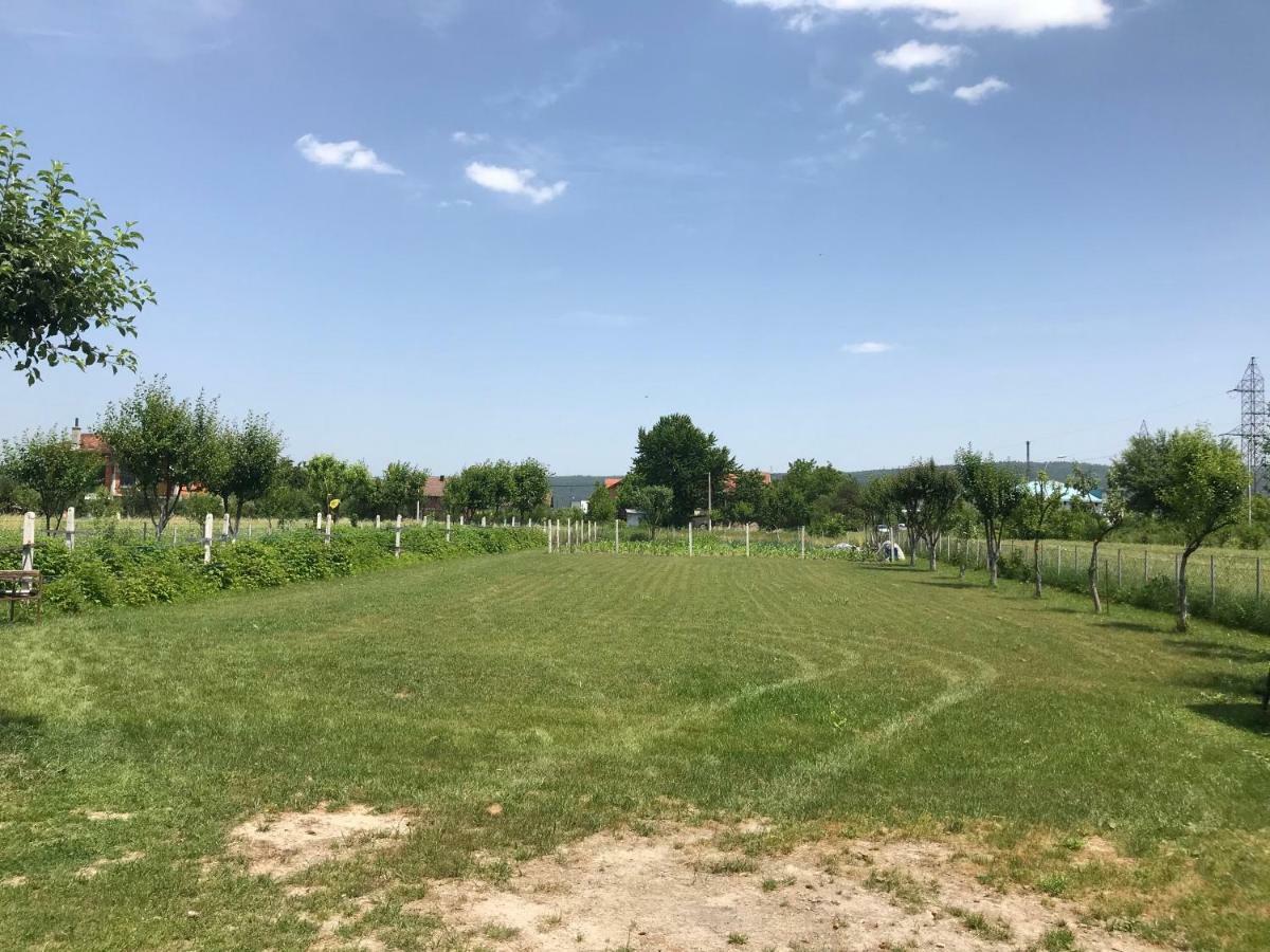 Exclusive Apartment Bihac Bagian luar foto