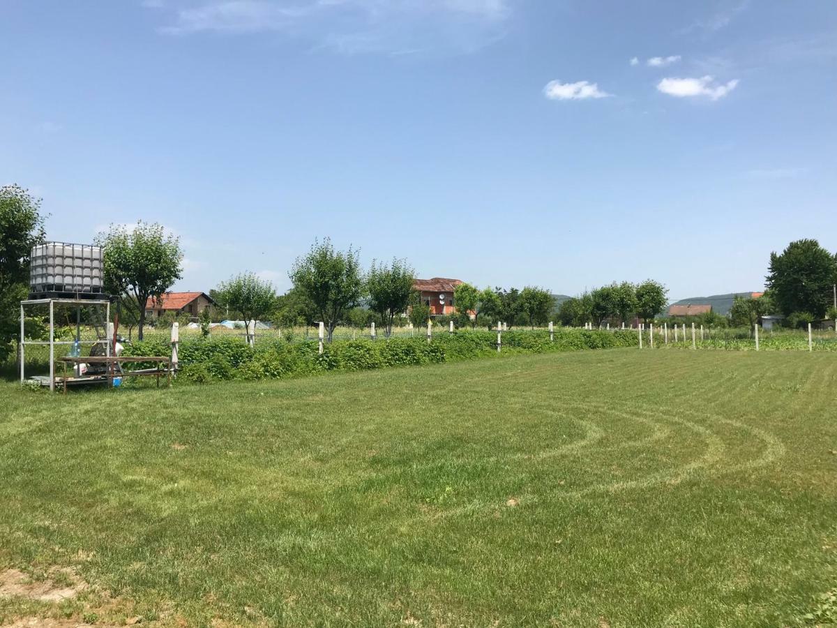Exclusive Apartment Bihac Bagian luar foto